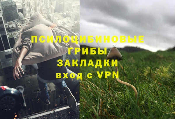 2c-b Абдулино