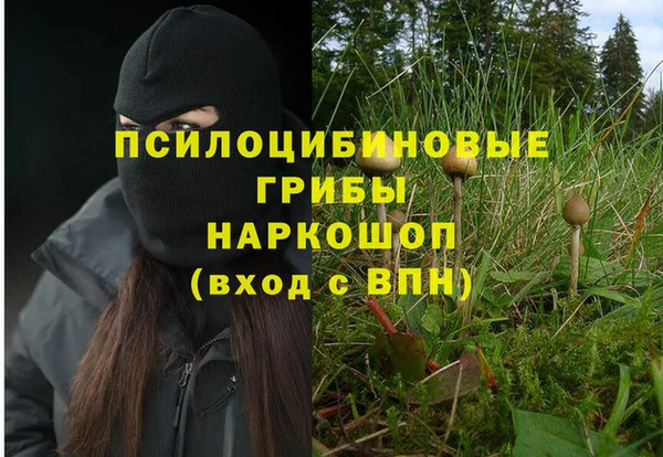 2c-b Абдулино